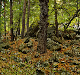 Similar image 21675414