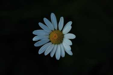 Similar image 21672121