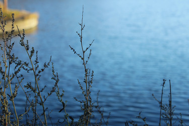 Similar image 21672122