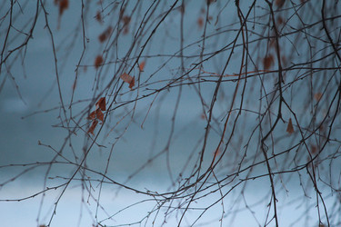 Similar image 21672123