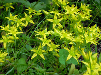 Similar image 21672636