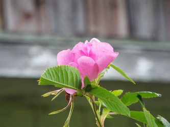 Similar image 21672638