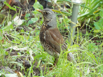 Similar image 21672640