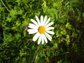 Similar image 21672641