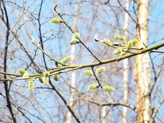 Similar image 21672671