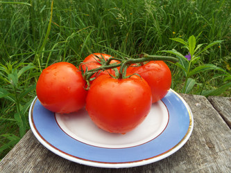 Similar image 21672125