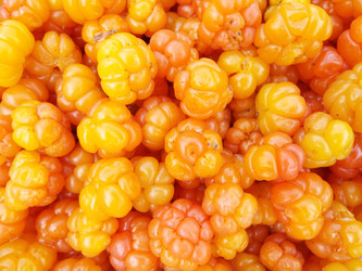 Similar image 21672127