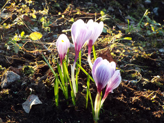 Similar image 21672654