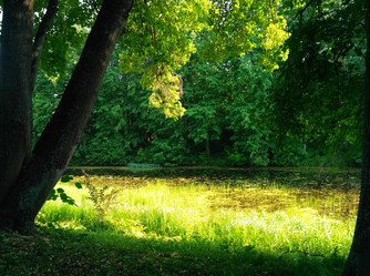 Similar image 21672129