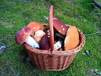 Similar image 21672130