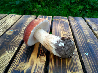 Similar image 21672132