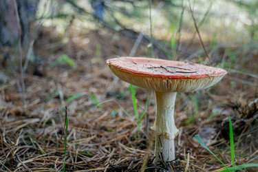 Similar image 21673508