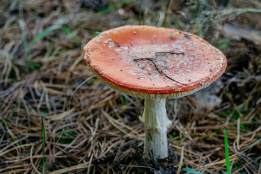 Similar image 21673510