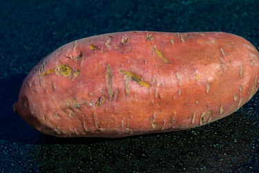 Similar image 21673513