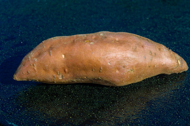 Similar image 21673514