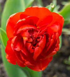 Similar image 21673515