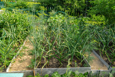 Similar image 21673527