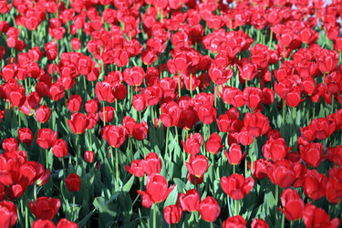 Similar image 21672695