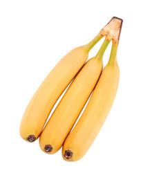 Similar image 21672699