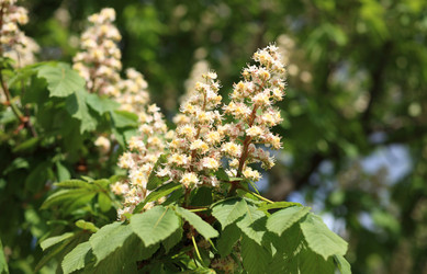 Similar image 21672718