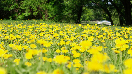 Similar image 21672728