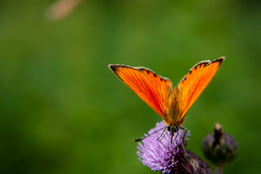 Similar image 21672153