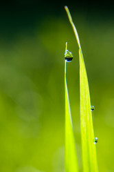 Similar image 21672157