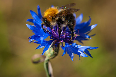 Similar image 21677882