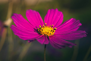 Similar image 21672175