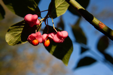 Similar image 21672176