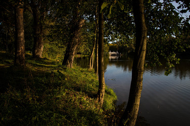 Similar image 21672177