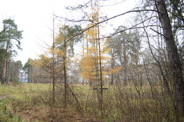 Similar image 21672603