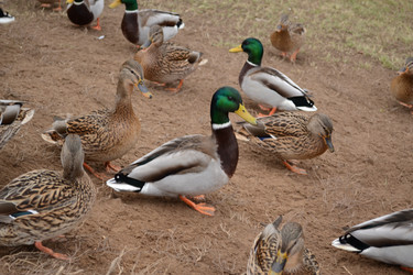 Similar image 21672608