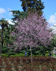 Similar image 21672632