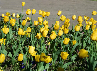 Similar image 21672633