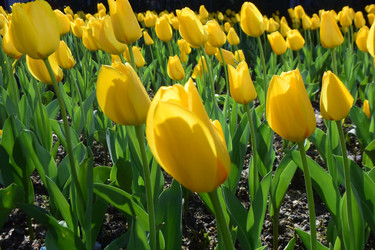 Similar image 21672634