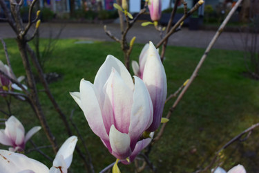 Similar image 21672812