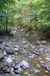 Similar image 21672817