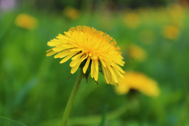 Similar image 21673267