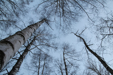 Similar image 21673268