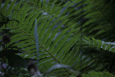 Similar image 21673269