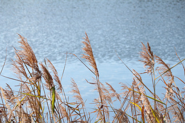 Similar image 21673270