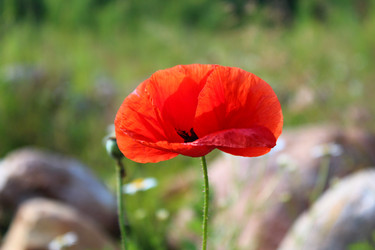 Similar image 21673271