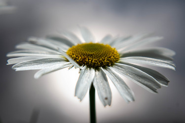 Similar image 21672560