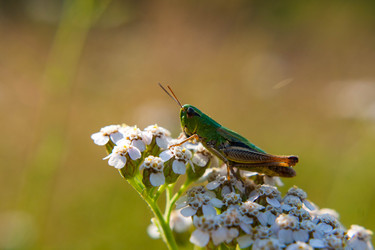 Similar image 21676854