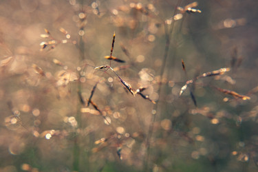 Similar image 21674403