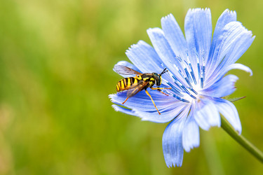 Similar image 21677883