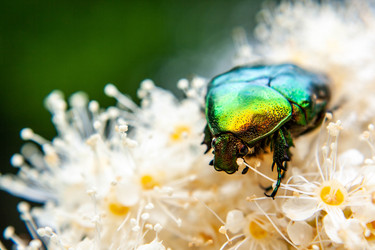 Similar image 21675188