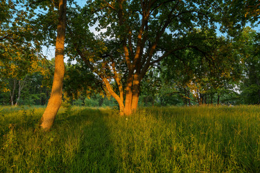 Similar image 21672537