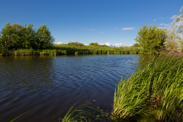 Similar image 21672539